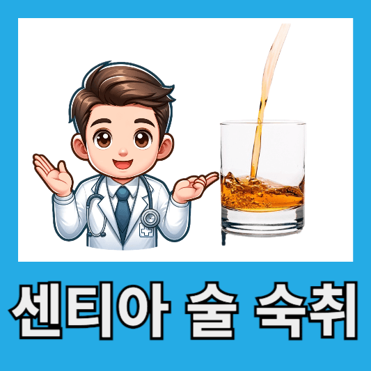 센티아 술 숙취