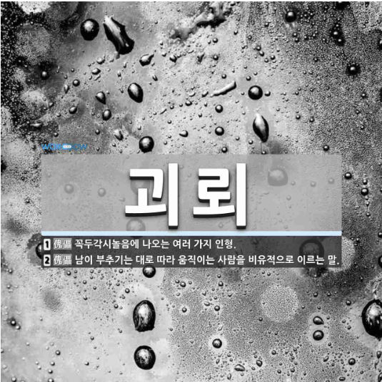  북한, 한국을 괴뢰로 표기 논란과 괴뢰의 의미