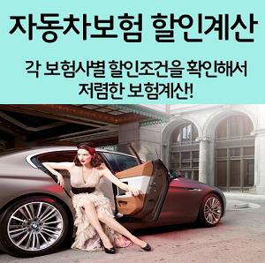  자동차보험저렴한곳 여기만한곳 없어요.