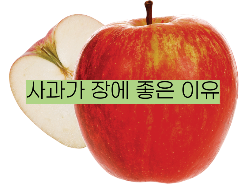 사과가-장에-좋은-이유