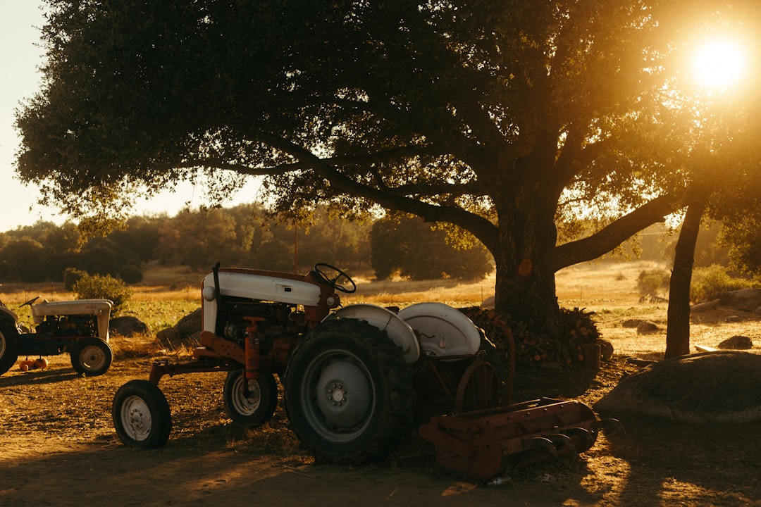 Country