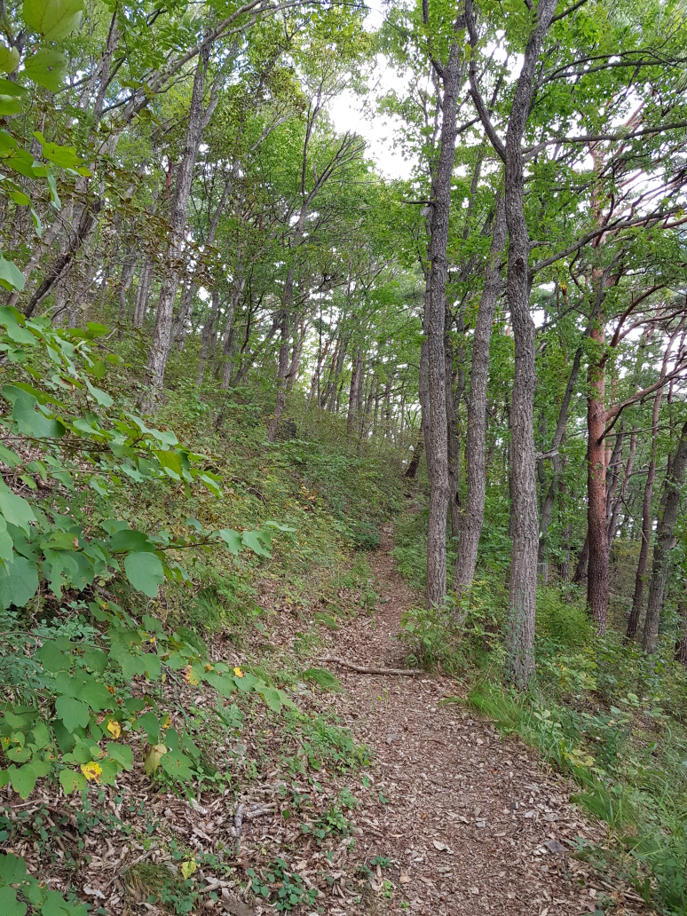 한국 명산 경북 영덕 칠보산 등산 mountain hiking