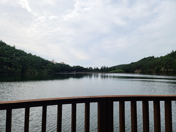 충남 걷기 좋은 숲길 국내여행 걷기 좋은 길, 15