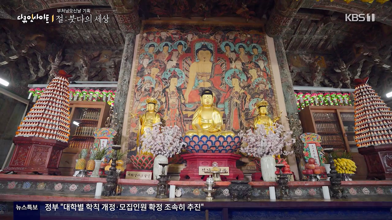 다큐 인사이트.E185.240517p-NEXT.mp4_20240517_202646.242.jpg