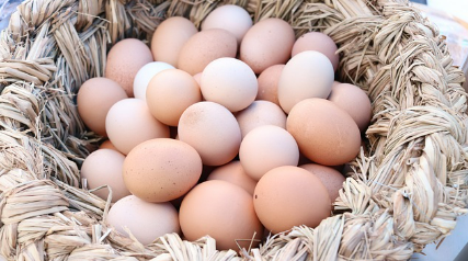 에그페스팅(Egg Fasting) 실행 가이드 ; 3일 계란 다이어트? 키토제닉? 저탄고지?
