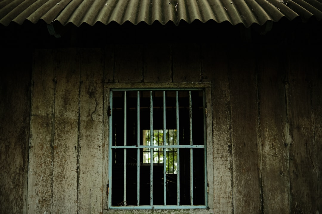 Bail