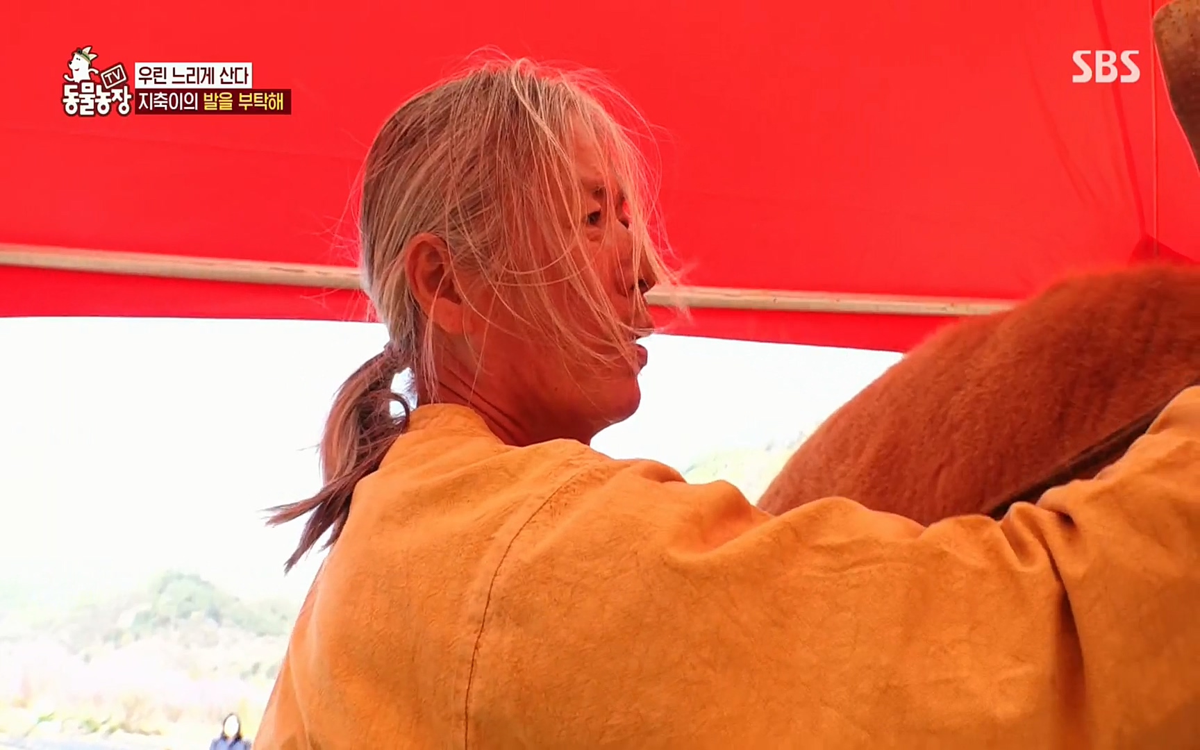 TV 동물농장.E1074.220619p.H264-F1RST.mp4_20220619_181924.177.jpg
