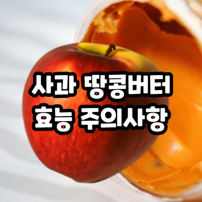 사과 땅콩버터