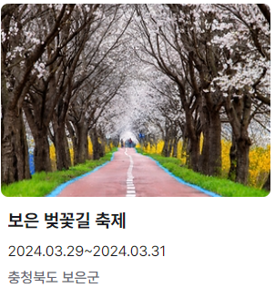 보은 벚꽃길 축제