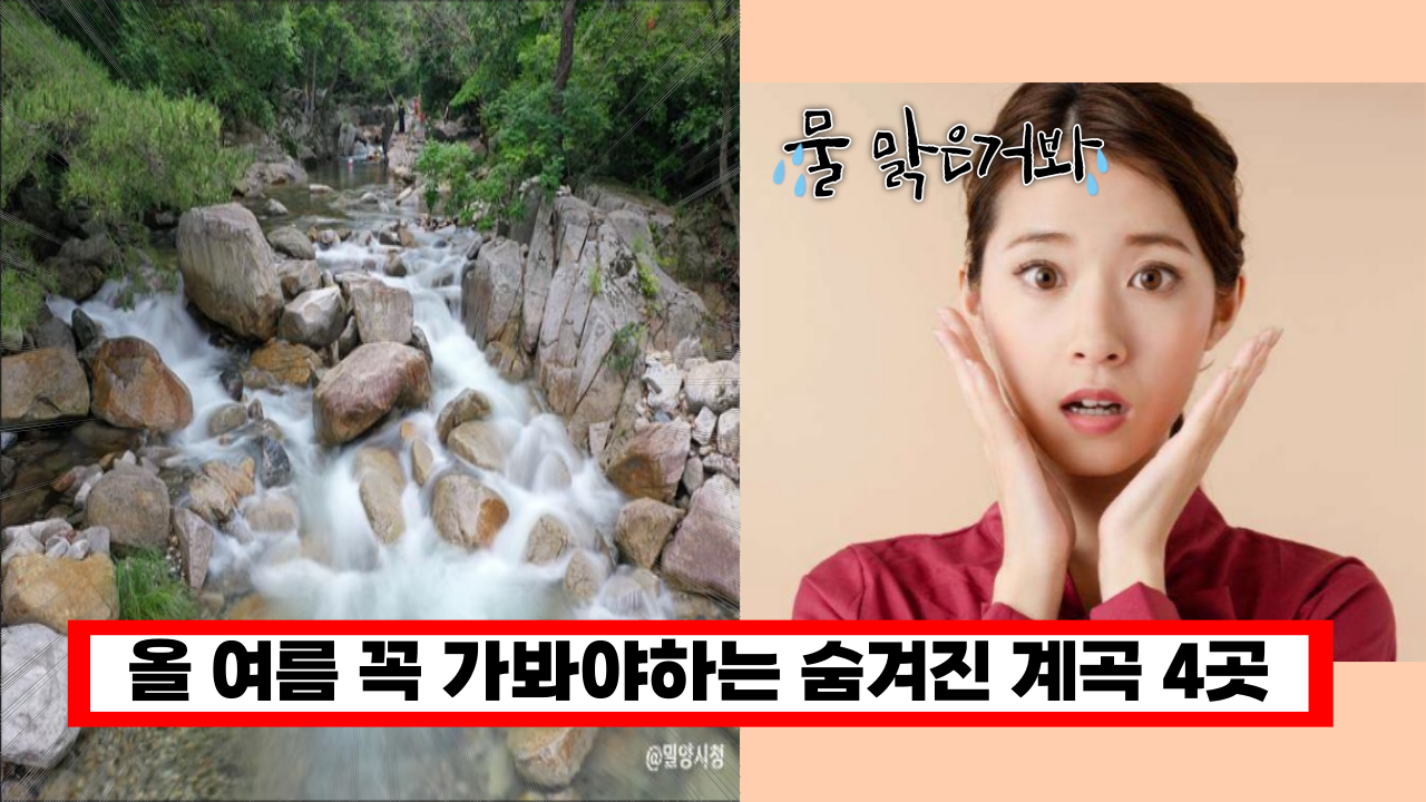  '전국민 99% 모르는 여행명소..' 유명 여행유튜브가 알려주는 숨겨진 계곡 4곳 여긴 꼭 가보세요