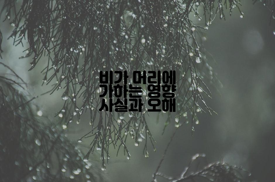 비가 머리에 가하는 영향 사실과 오해