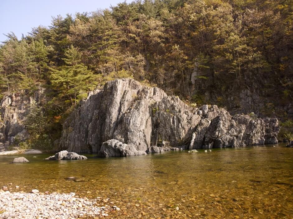 왕피천