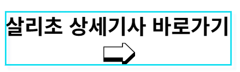 살리초 상세 기사