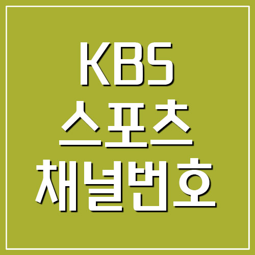 KBS 스포츠 채널번호