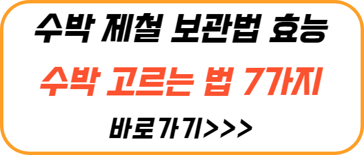 수박-고르는-법-7-가지