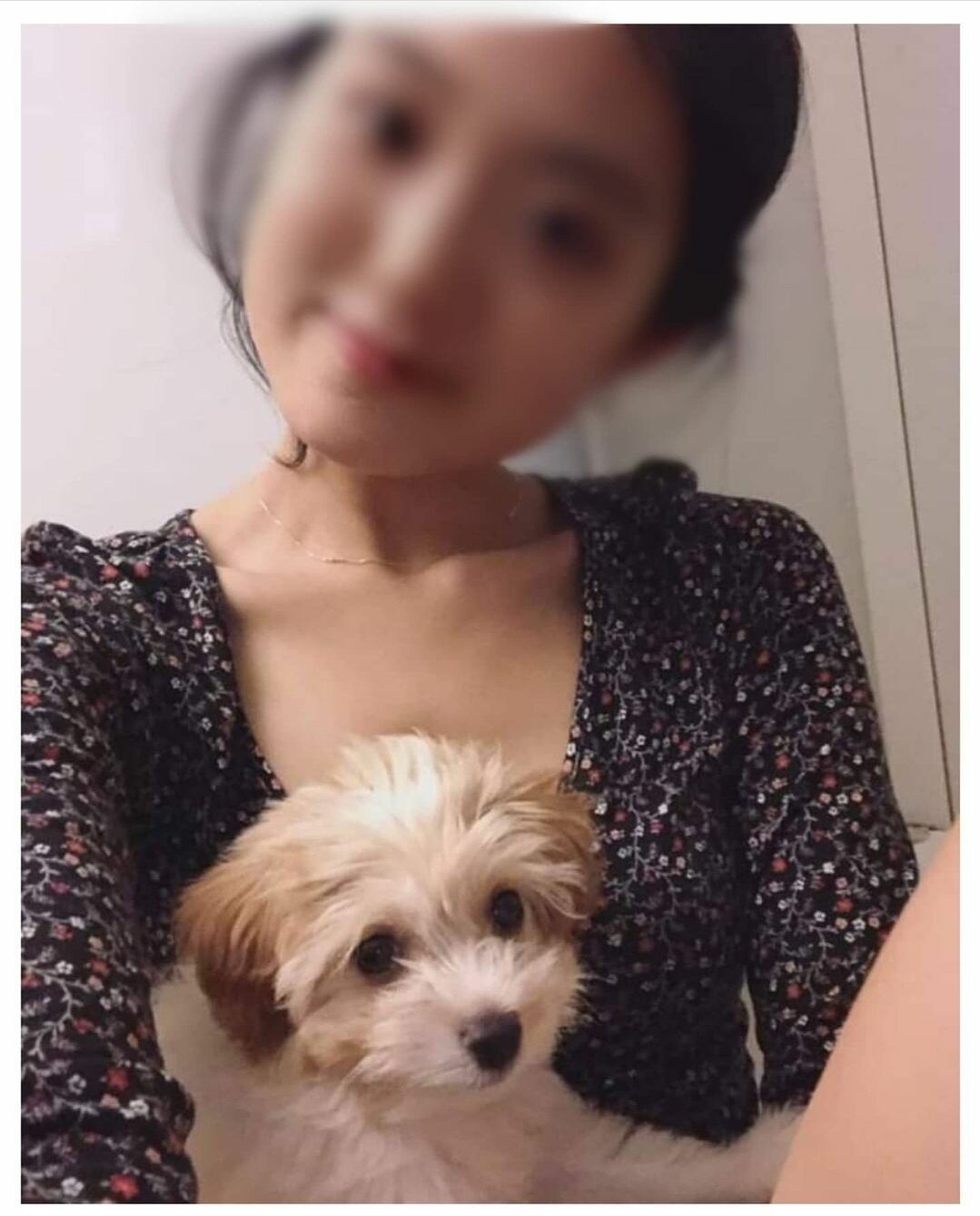  한 신인배우 유기견 입양, 파양 논란