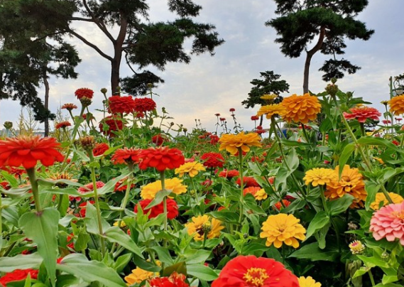 여주 황학산 수목원