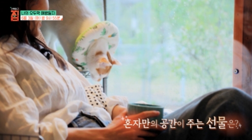 건축탐구집-나의오두막해방일지