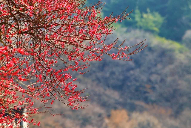 화엄경 이란 해석 독해 구절_1
