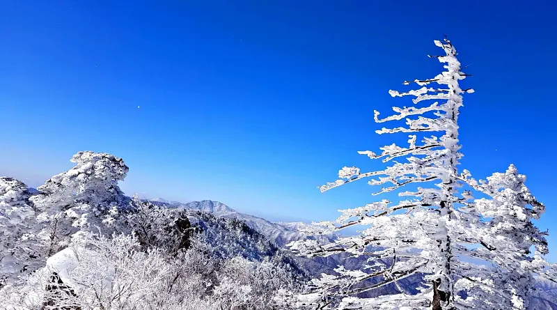 지리산 설경 상고대