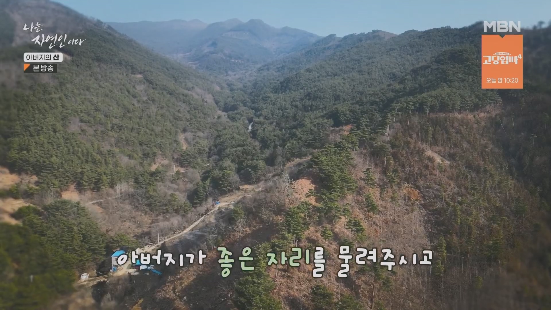 나는 자연인이다.E595.240228p.H264-F1RST.mp4_20240229_200111.625.jpg