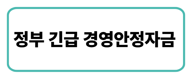 정부 긴급 경영안정자금