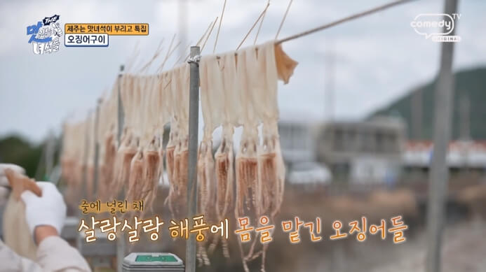 말린-오징어