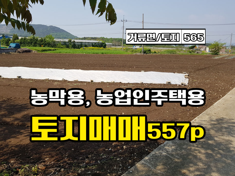  경남고성부동산 토지매매 거류면 도로 좋고, 땅 좋아 활용성 좋은 땅매매