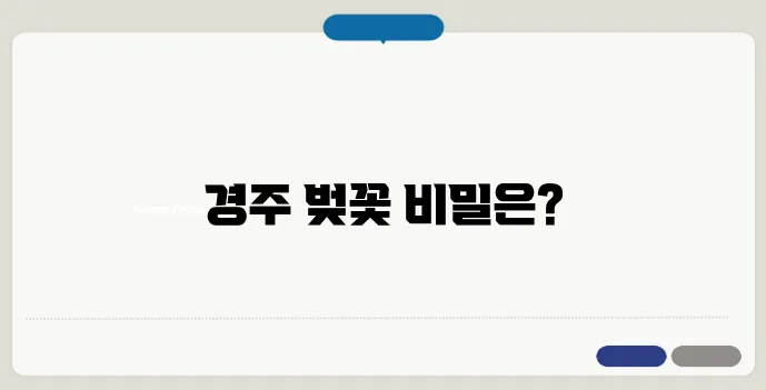 경주 벚꽃 개화시기 & 벚꽃 축제 일정 총정리