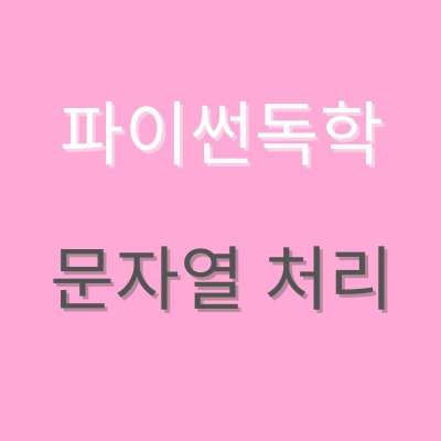  파이썬 문자열 처리