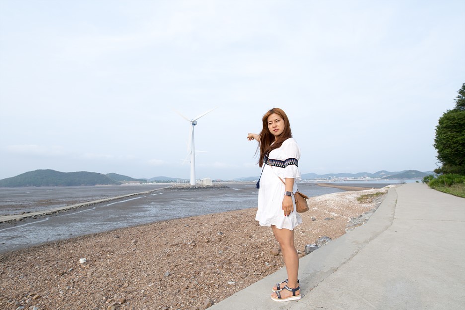  탄도항과 궁평항으로 떠난 시그마 아트  20mm f1.4 TEST 출사