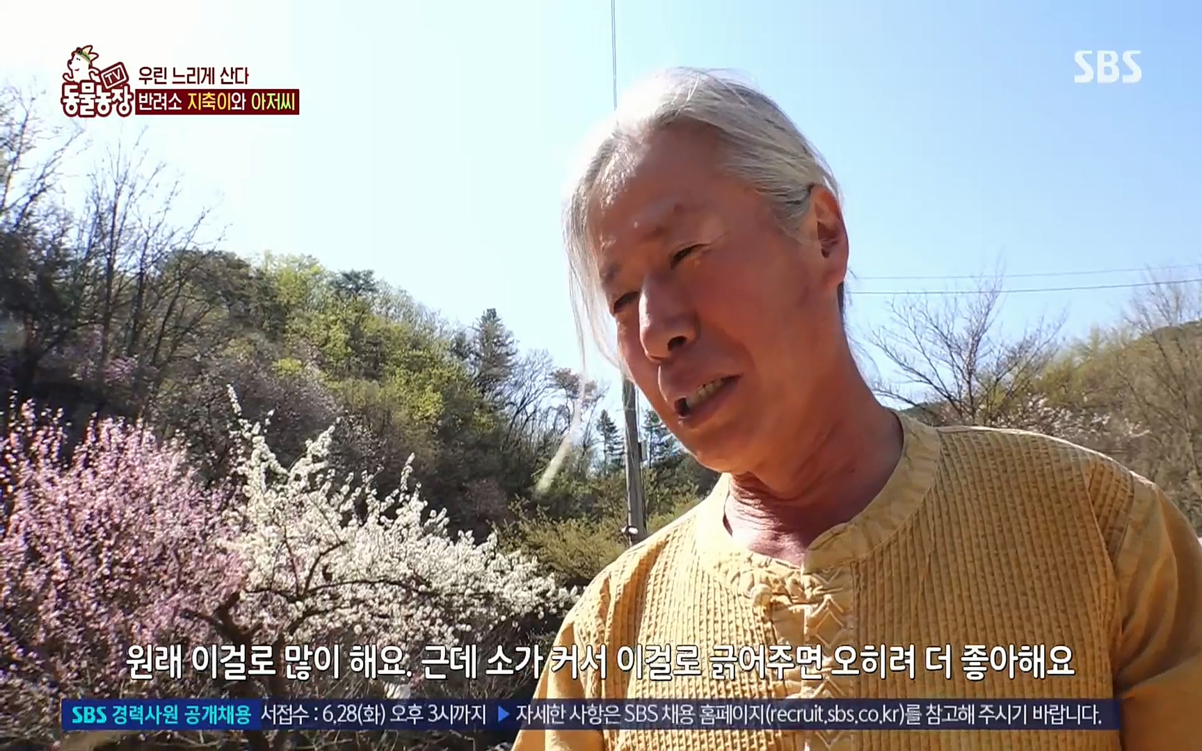 TV 동물농장.E1074.220619p.H264-F1RST.mp4_20220619_181200.223.jpg