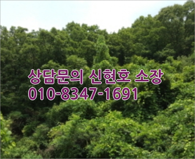 경북 영천 임야 매매 [2021타경4956] 경북 영천시 10