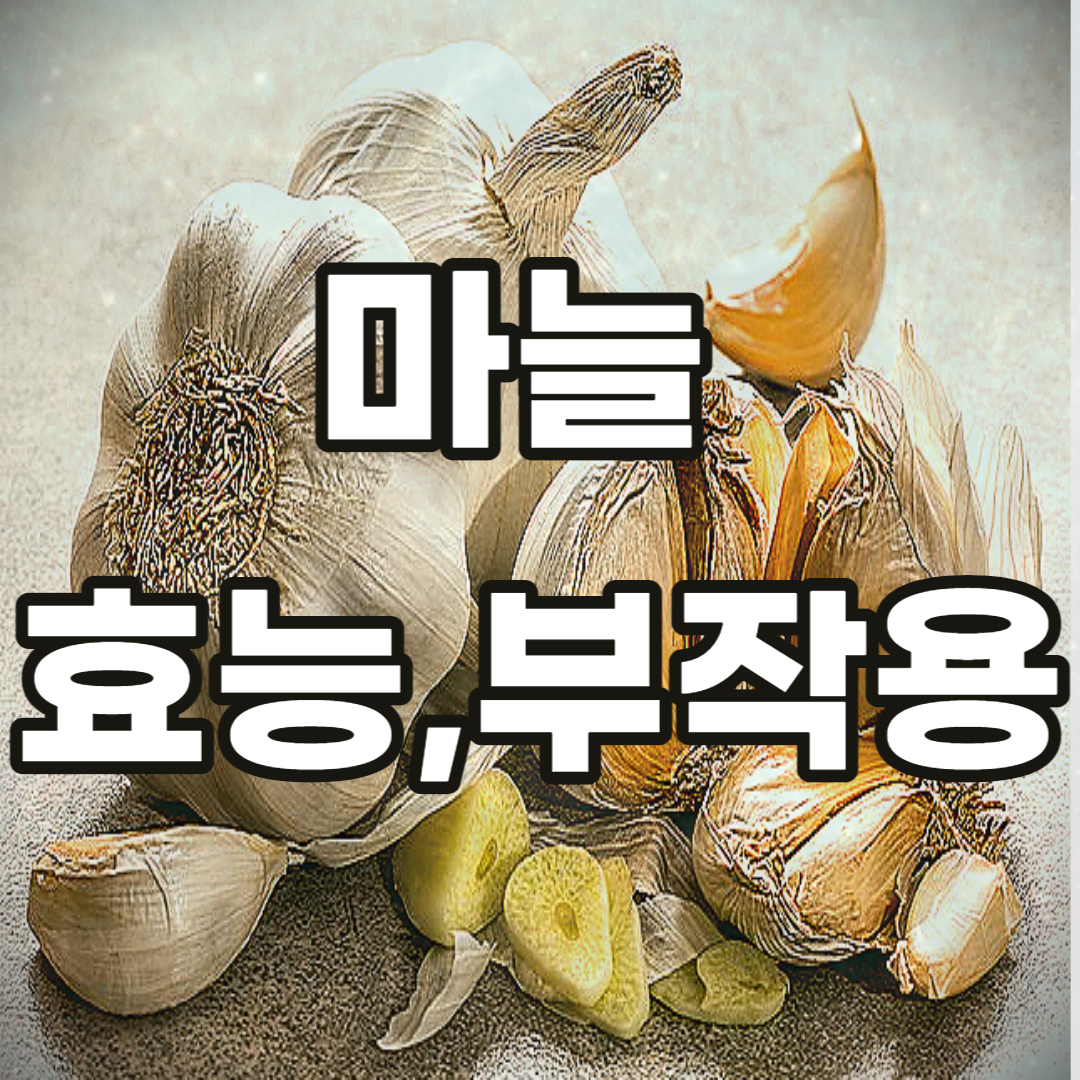 마늘-효능-부작용-깐-쪽-흑-다진-알리신-코끼리-산-통-구운-가루