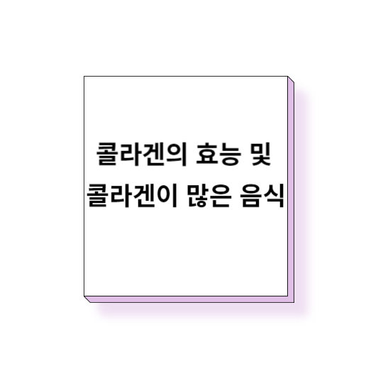  콜라겐의 효능 및 콜라겐이 많은 음식