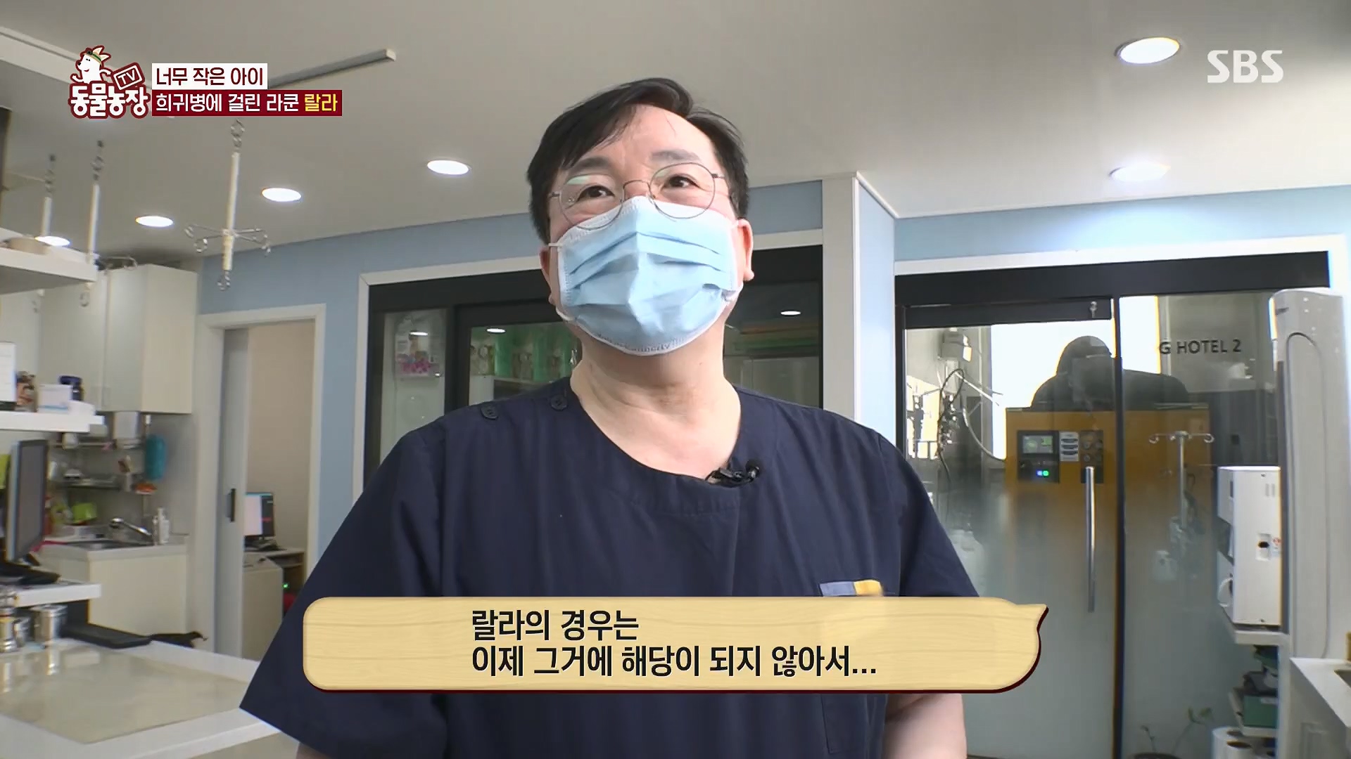 TV 동물농장.E1120.230514p.H264-F1RST.mp4_20230515_203537.354.jpg