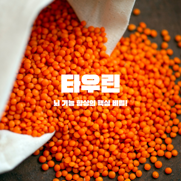 타우린, 뇌 기능 향상의 핵심 비밀!
