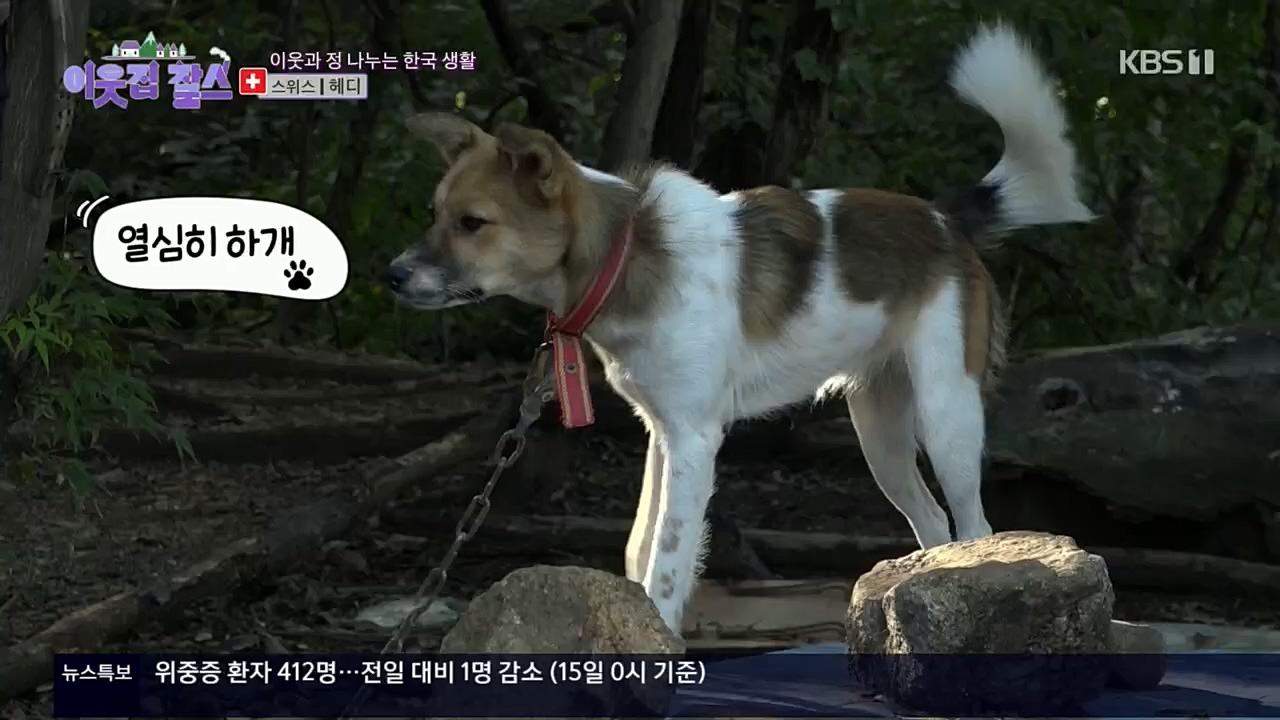 이웃집 찰스.E362.221116p.H264-F1RST.mp4_20221118_203051.917.jpg