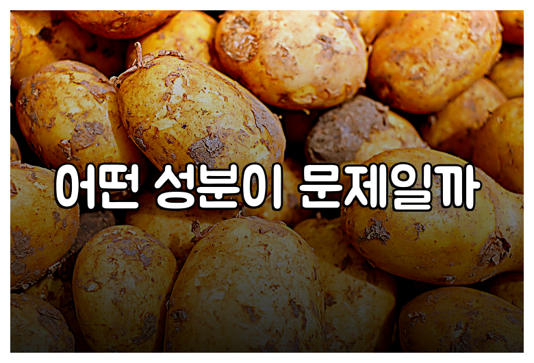 어떤 성분이 문제일까