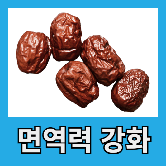 대추차 효능 면역력 강화