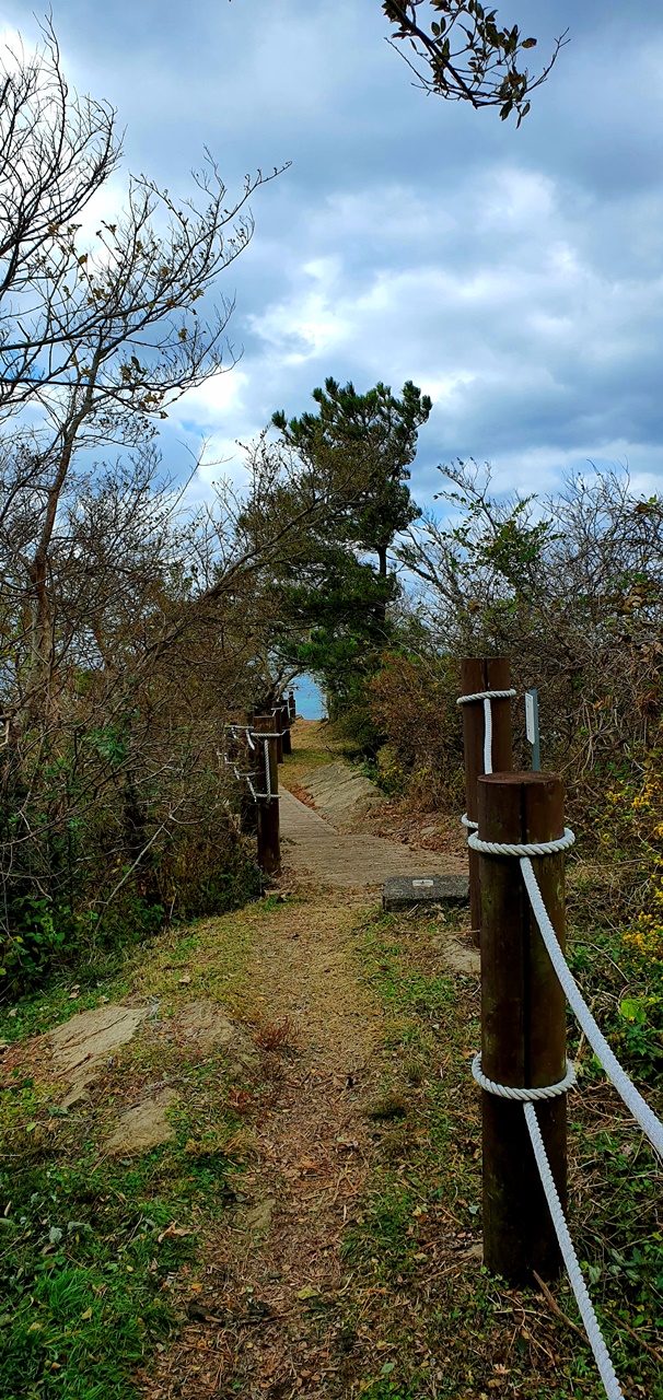 서서히 드러나는 주변 풍경