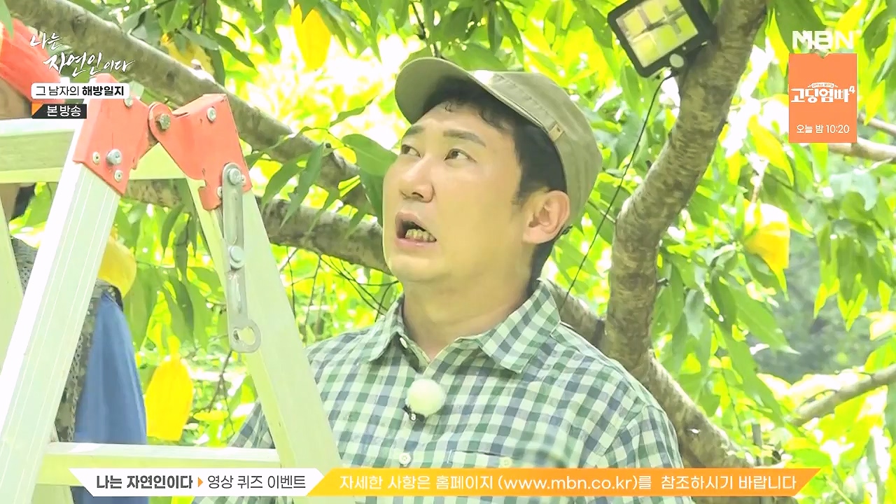 나는 자연인이다.E570.230907p-NEXT.mp4_20230909_164003.481.jpg