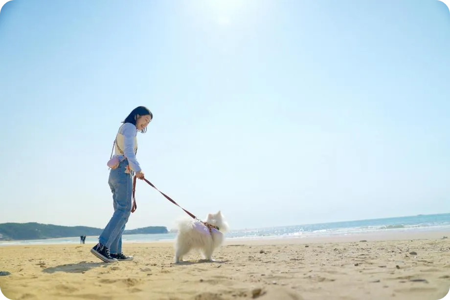 태안 댕댕버스 반려견 강아지 동반 당일 여행 예약 가격