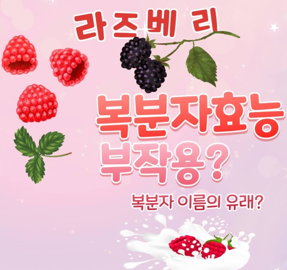  복분자 이름의 유래 효능? 부작용?