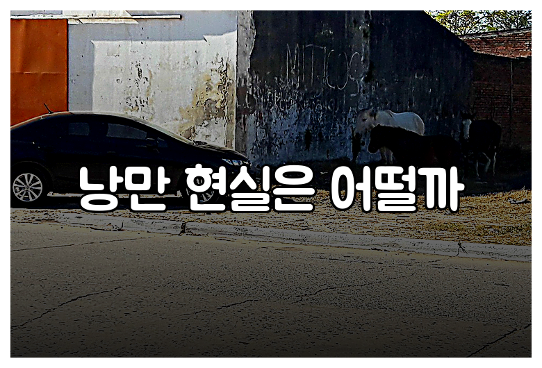 낭만 현실은 어떨까