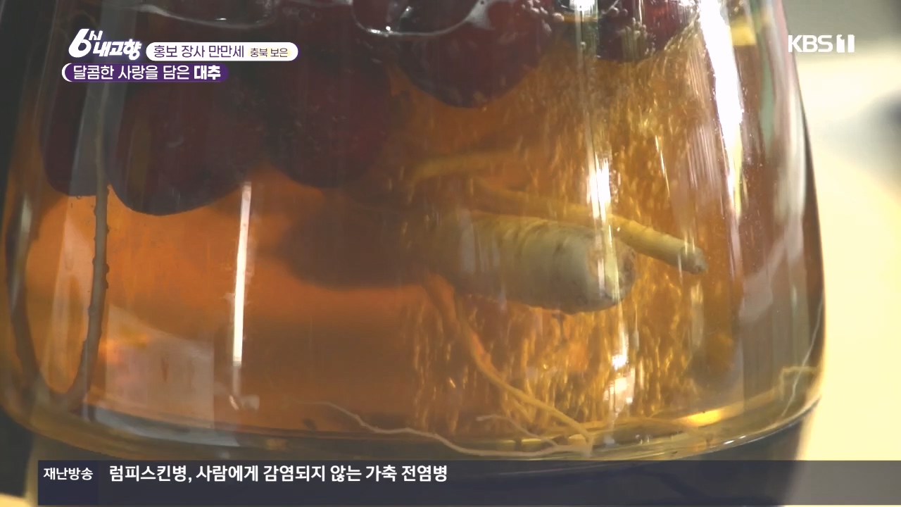 6시 내고향.E7897.231025p.H264-F1RST.mp4_20231025_202903.919.jpg