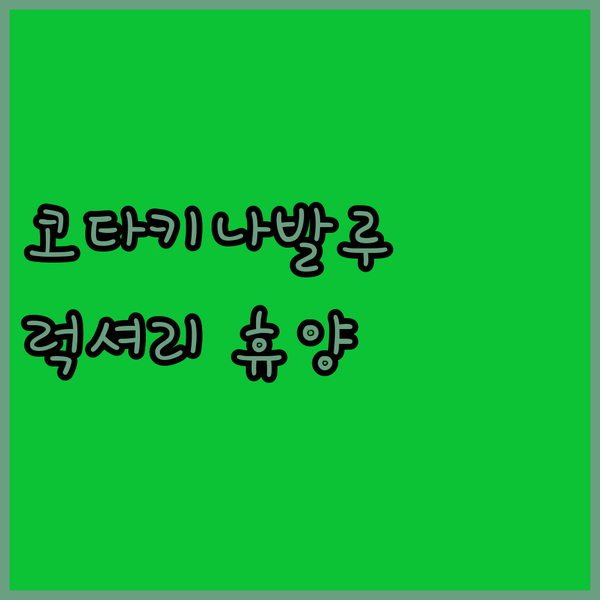 샹그릴라 라사 리아 코타키나발루? 럭