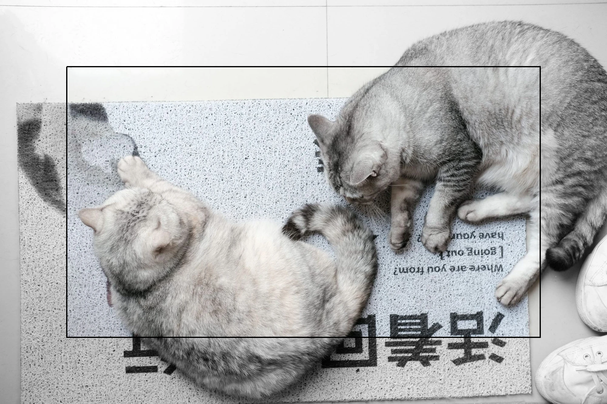 이미지_3