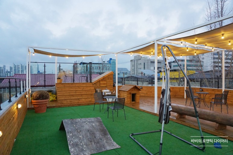 전주 애견카페전주 중화산동 카페 11