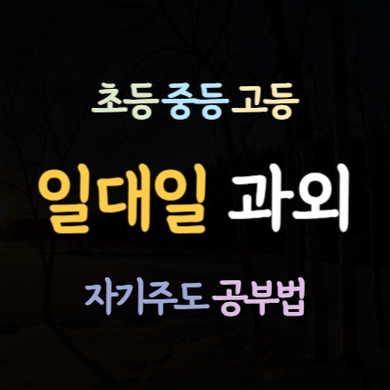  주문진 수학과외 주문진읍 영어과외 국어과외 초등 중등 고등 예비중 예비고 중학생 전과목